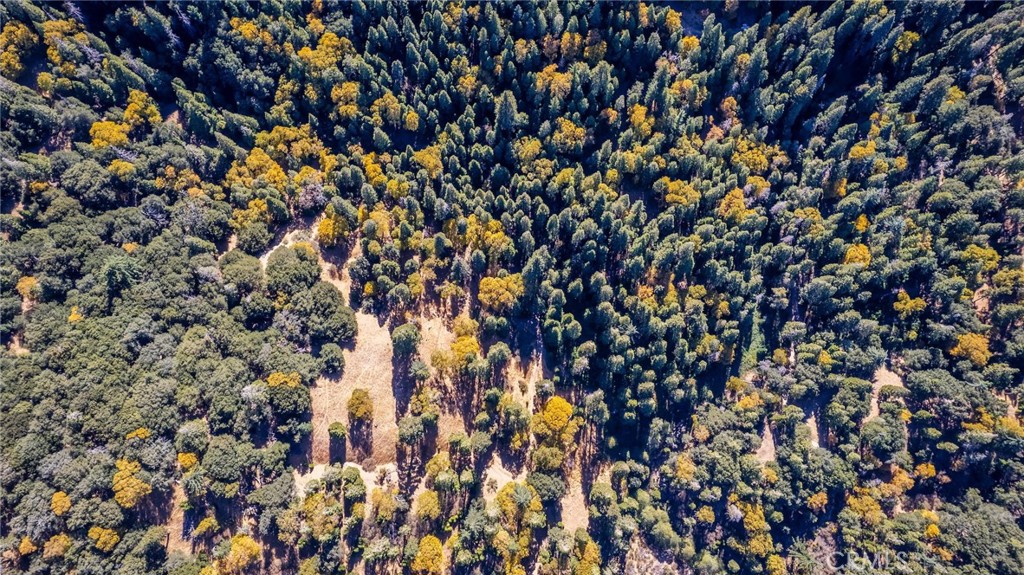 0 Mojave Road Cedarpines Park, CA 92322 - Photo 23 of 41