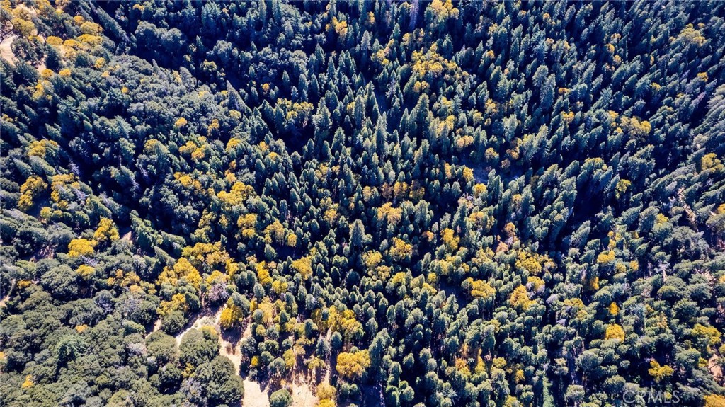 0 Mojave Road Cedarpines Park, CA 92322 - Photo 24 of 41