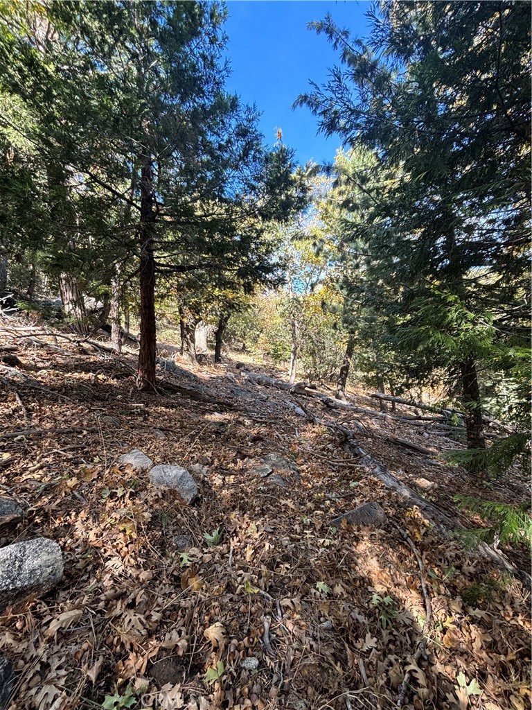 0 Mojave Road Cedarpines Park, CA 92322 - Photo 26 of 41