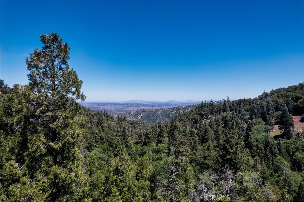 0 Mojave Road Cedarpines Park, CA 92322 - Photo 28 of 41