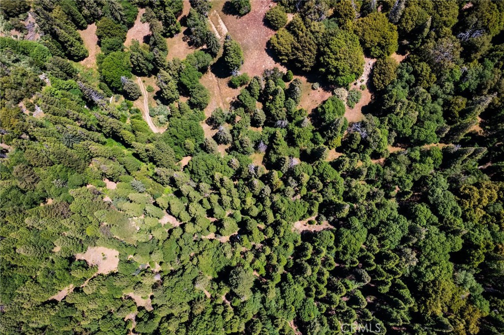 0 Mojave Road Cedarpines Park, CA 92322 - Photo 29 of 41