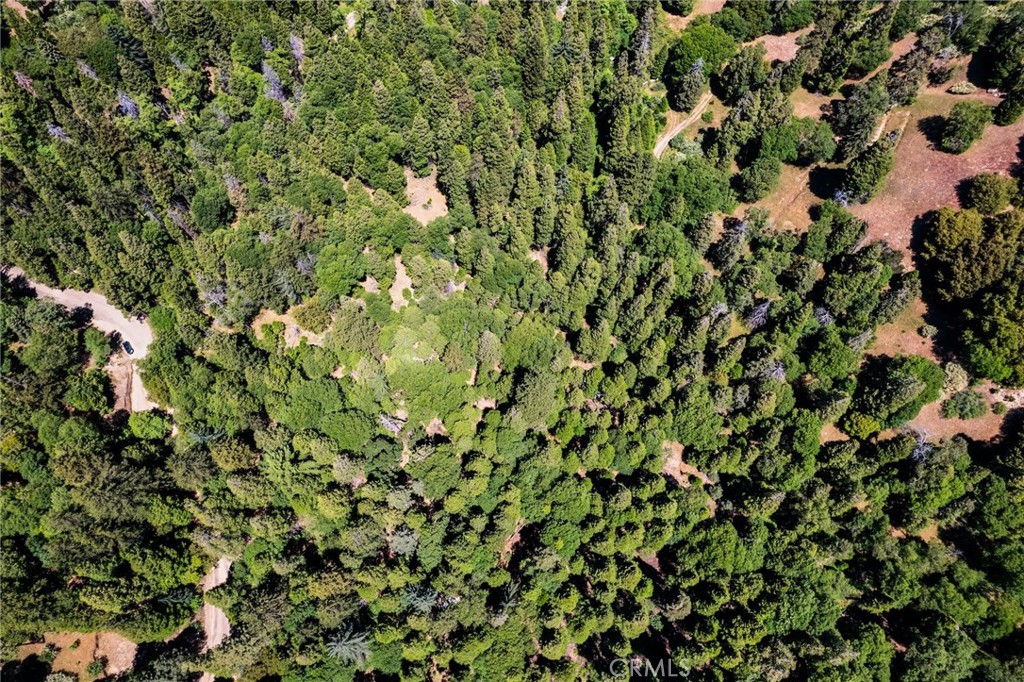 0 Mojave Road Cedarpines Park, CA 92322 - Photo 30 of 41