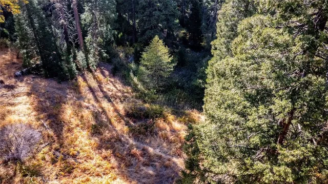 $16,000 | 0 Mojave Road, Cedarpines Park, CA 92322