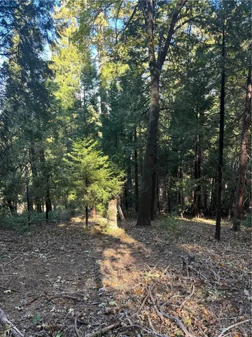 $16,000 | 0 Mojave Road, Cedarpines Park, CA 92322