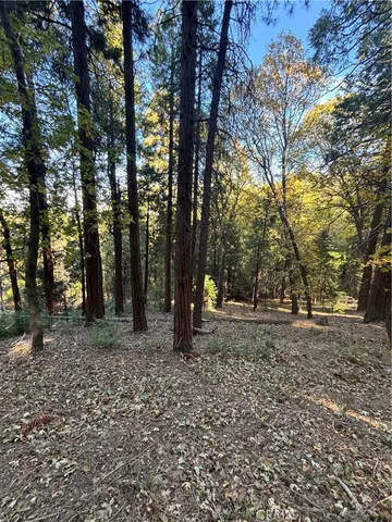 $16,000 | 0 Mojave Road, Cedarpines Park, CA 92322