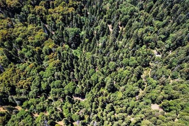 $16,000 | 0 Mojave Road, Cedarpines Park, CA 92322