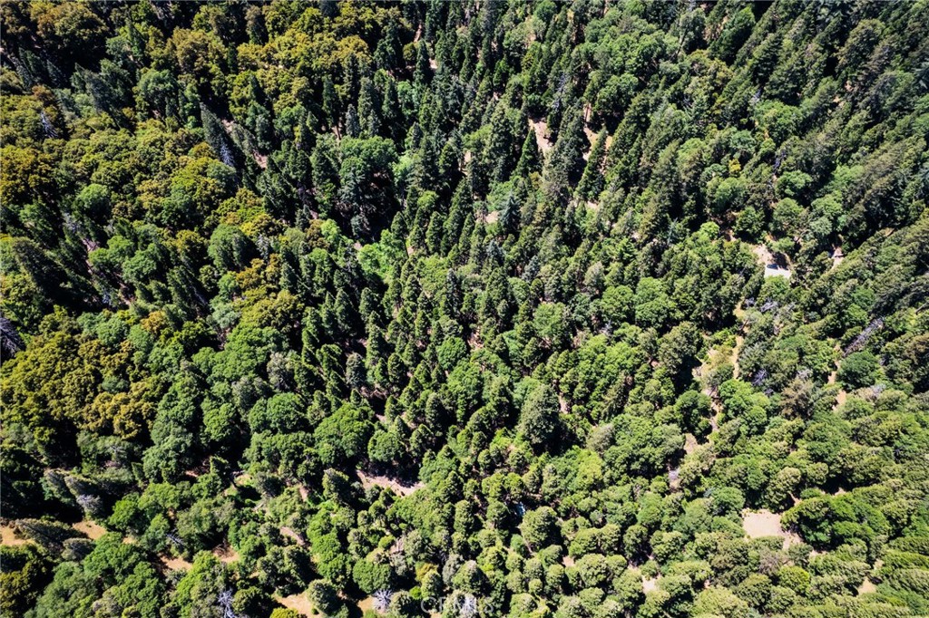 0 Mojave Road Cedarpines Park, CA 92322 - Photo 35 of 41