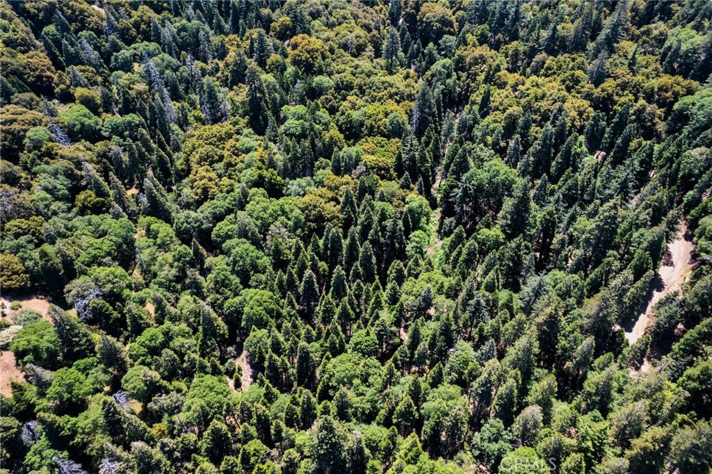 0 Mojave Road Cedarpines Park, CA 92322 - Photo 36 of 41