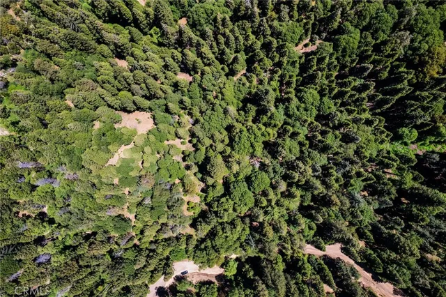 $16,000 | 0 Mojave Road, Cedarpines Park, CA 92322