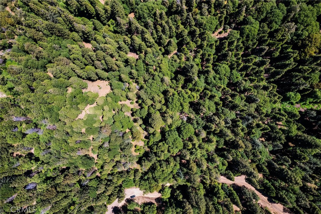 0 Mojave Road Cedarpines Park, CA 92322 - Photo 38 of 41