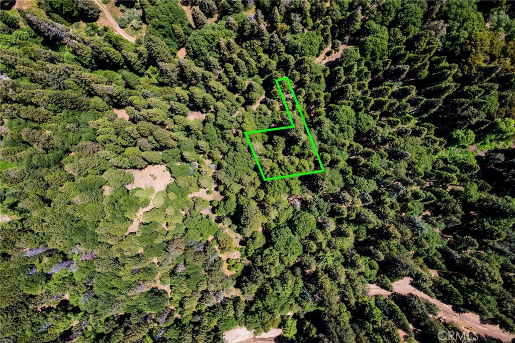 0 Mojave Road Cedarpines Park, CA 92322 - Photo 39 of 41