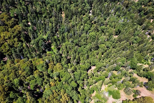 $16,000 | 0 Mojave Road, Cedarpines Park, CA 92322