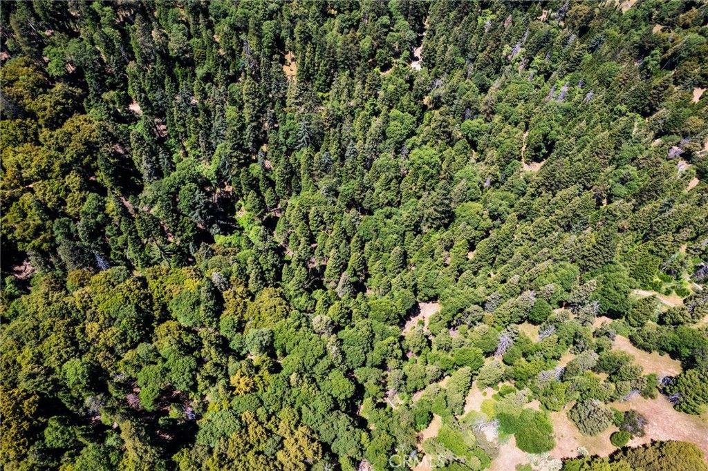 0 Mojave Road Cedarpines Park, CA 92322 - Photo 40 of 41