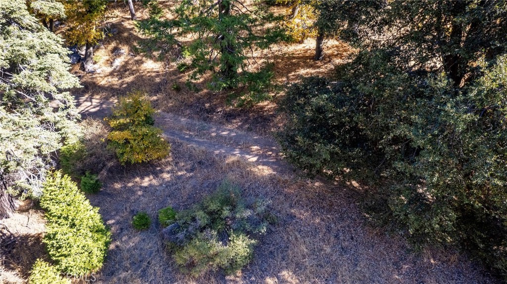 0 Mojave Road Cedarpines Park, CA 92322 - Photo 4 of 41