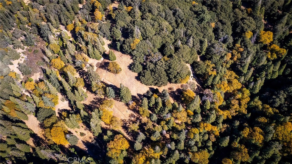 0 Mojave Road Cedarpines Park, CA 92322 - Photo 41 of 41