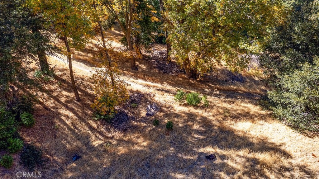 0 Mojave Road Cedarpines Park, CA 92322 - Photo 6 of 41