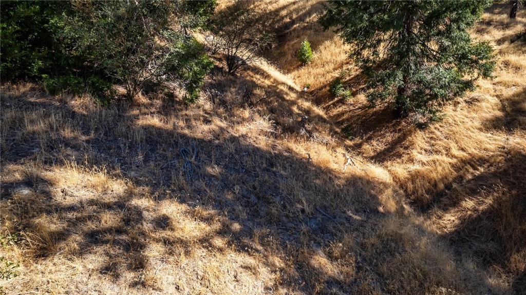 0 Mojave Road Cedarpines Park, CA 92322 - Photo 8 of 41