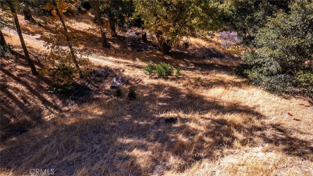 0 Mojave Road Cedarpines Park, CA 92322 - Photo 9 of 41