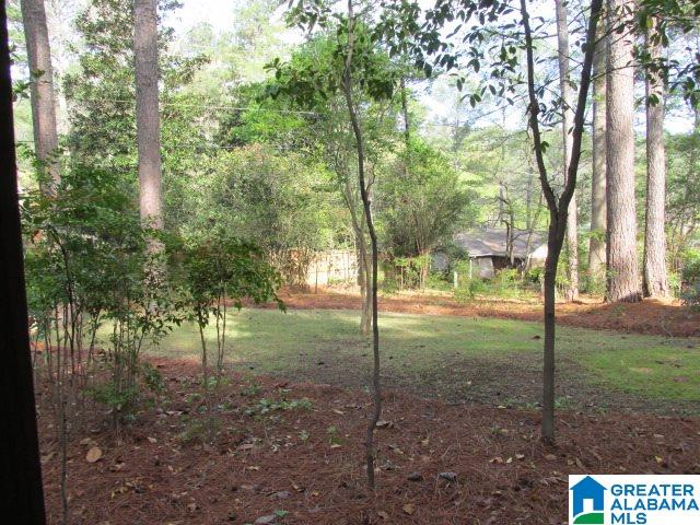 3204 Winchester Road Birmingham, AL 35226 - Photo 37 of 38
