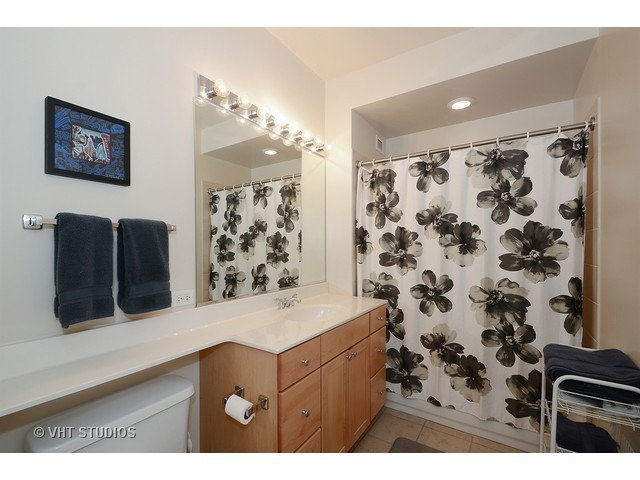 421 West Huron Street, Unit 702 Chicago, IL 60654 - Photo 7 of 10