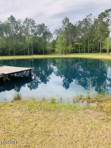 6080 Hans Road Moss Point, MS 39562 - Photo 4 of 24 A44AE26A-2E84-4077-B9F6-7698F0EC5D60