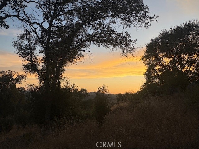 3302 Windy Hollow Road Mariposa, CA 95338 - Photo 10 of 13 a view of mountain view with lots of trees