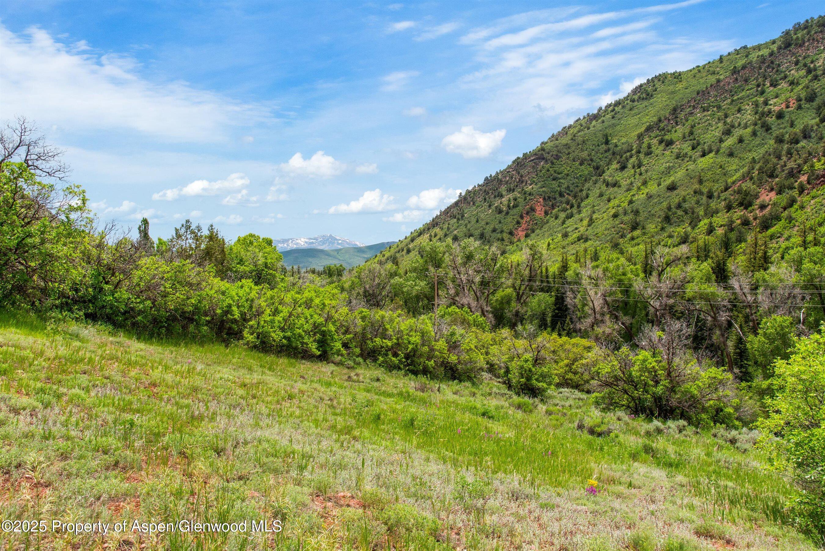 354 Snowmass Creek Road Snowmass, CO 81654 - Photo 5 of 53 07-354SnowmassCreek_250612007