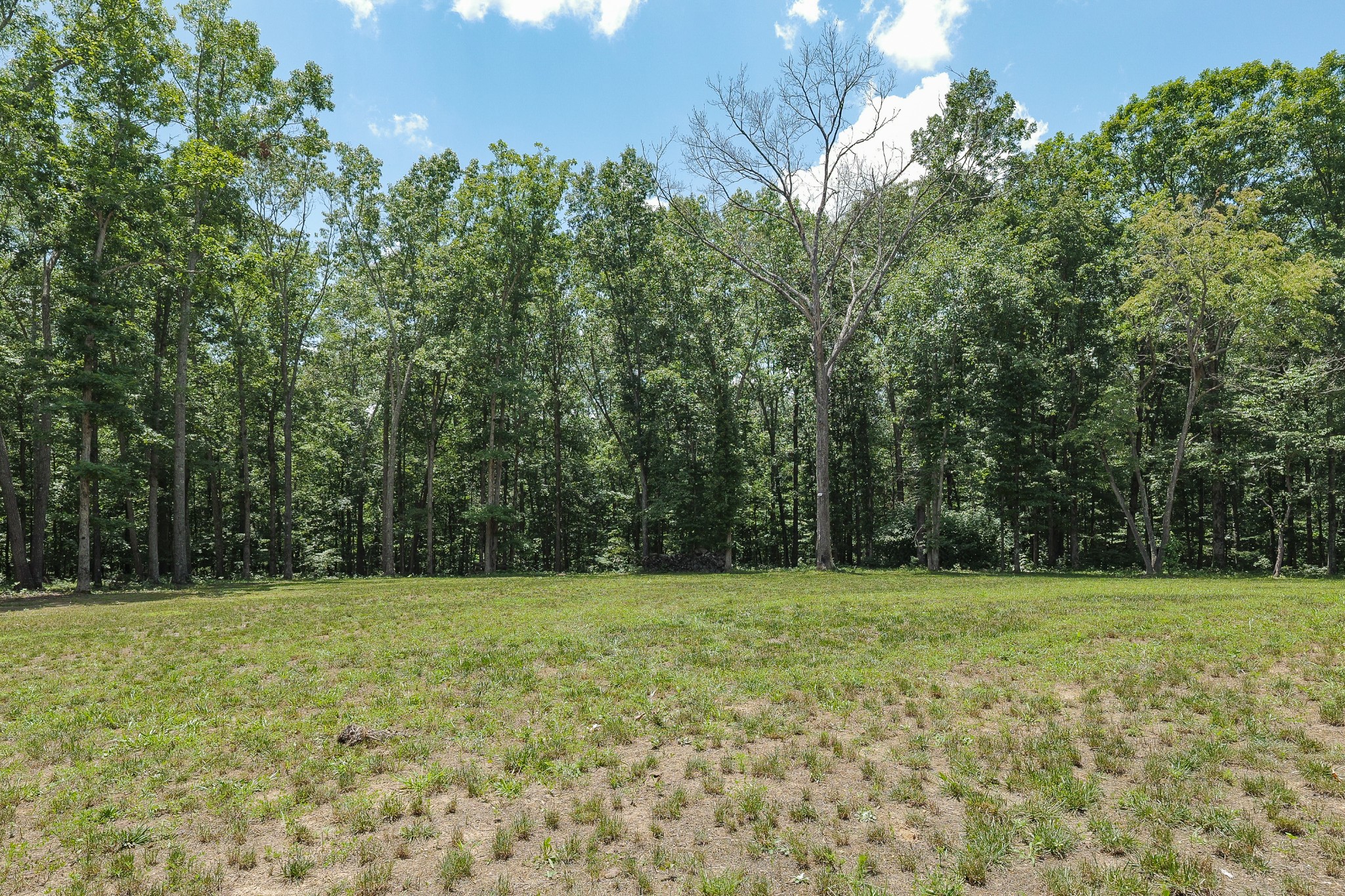2200 Little Texas Road Goodspring, TN 38460 - Photo 56 of 61