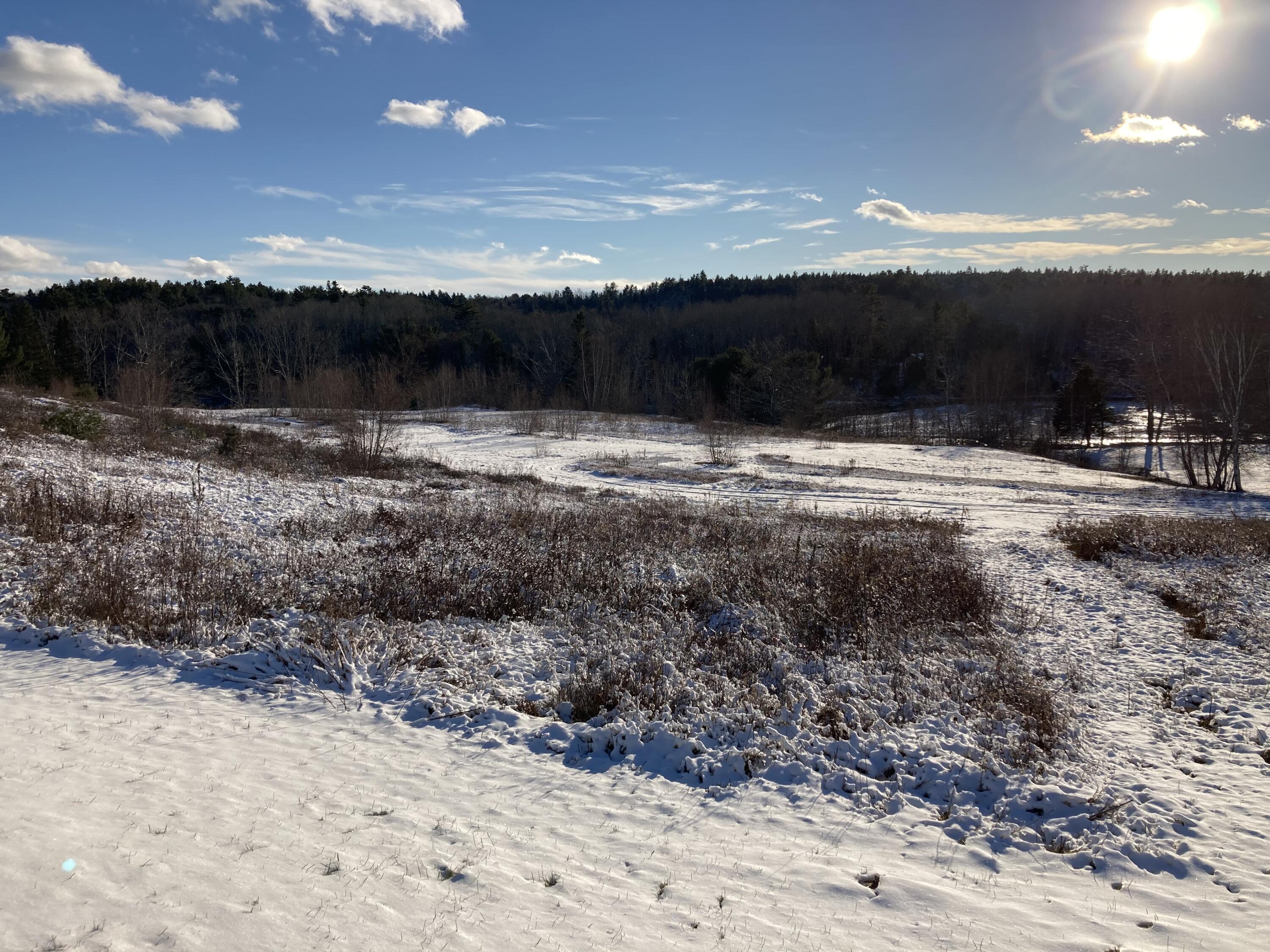 209 Hog Bay Road Franklin, ME 04634 - Photo 3 of 29 Acreage to stream.