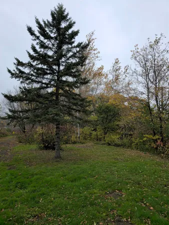$55,000 | 3-xx South 63rd Avenue West, Duluth, MN 55807