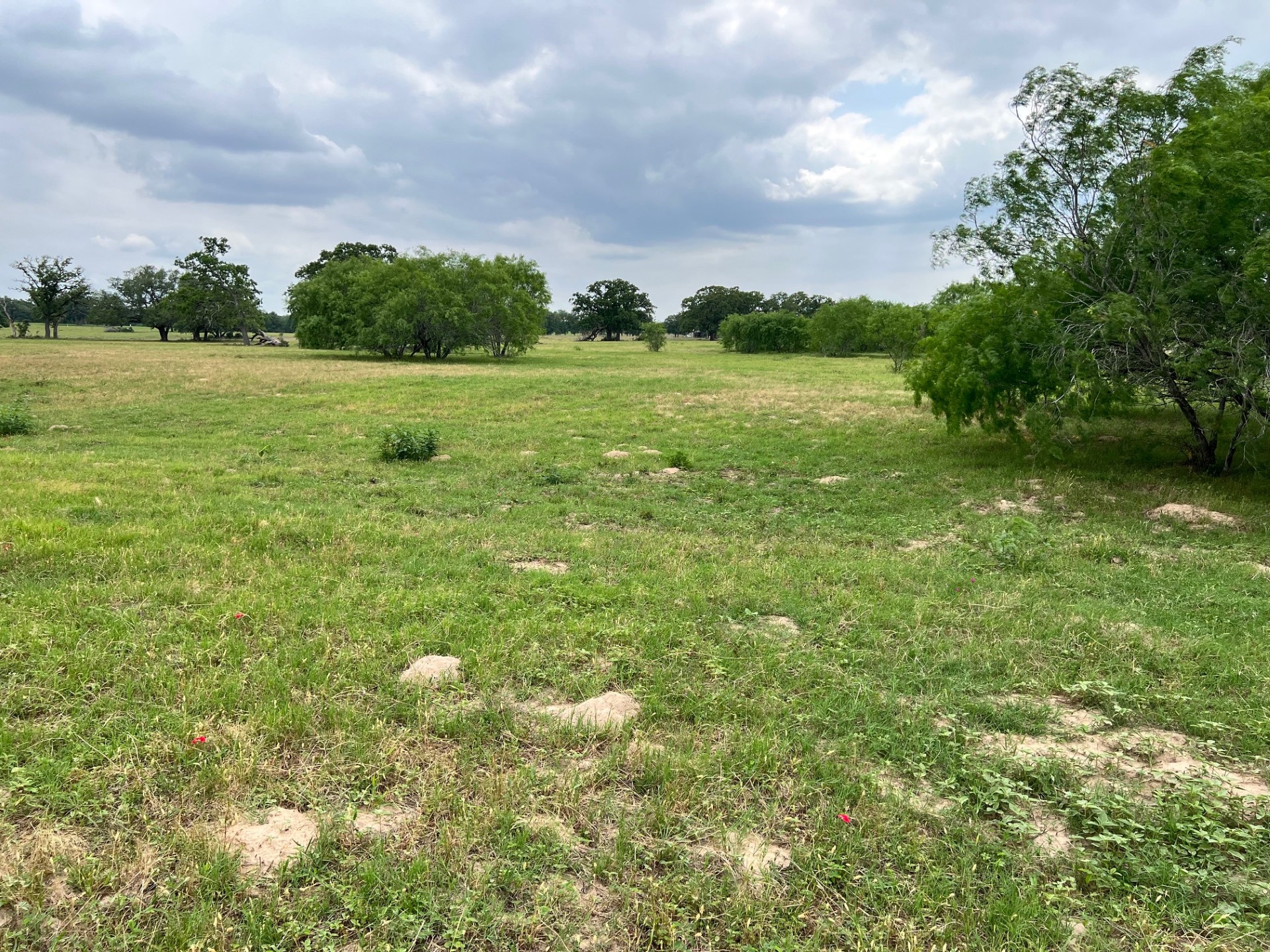 Lot 17 Settlement Way Luling, TX 78648 - Photo 5 of 14 A verdant, open field with mature trees dotting the landscape under a cloudy sky.