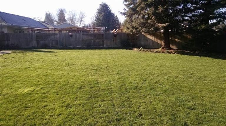Huge backyard with inground sprinkler on