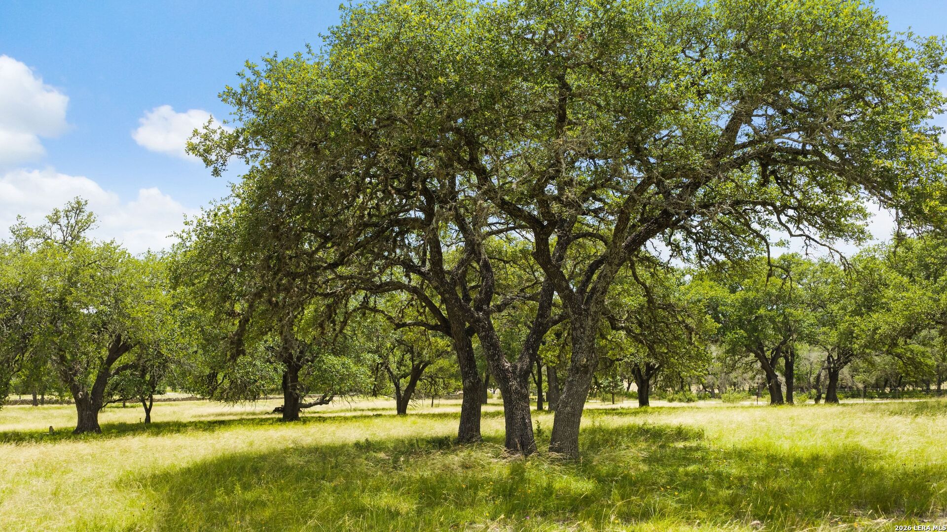271-173 Big Creek Road Blanco, TX 78606 - Photo 62 of 75