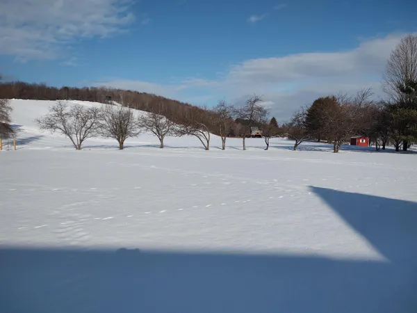 $579,000 | 3 Greenhouse Avenue, Randolph, VT 05060