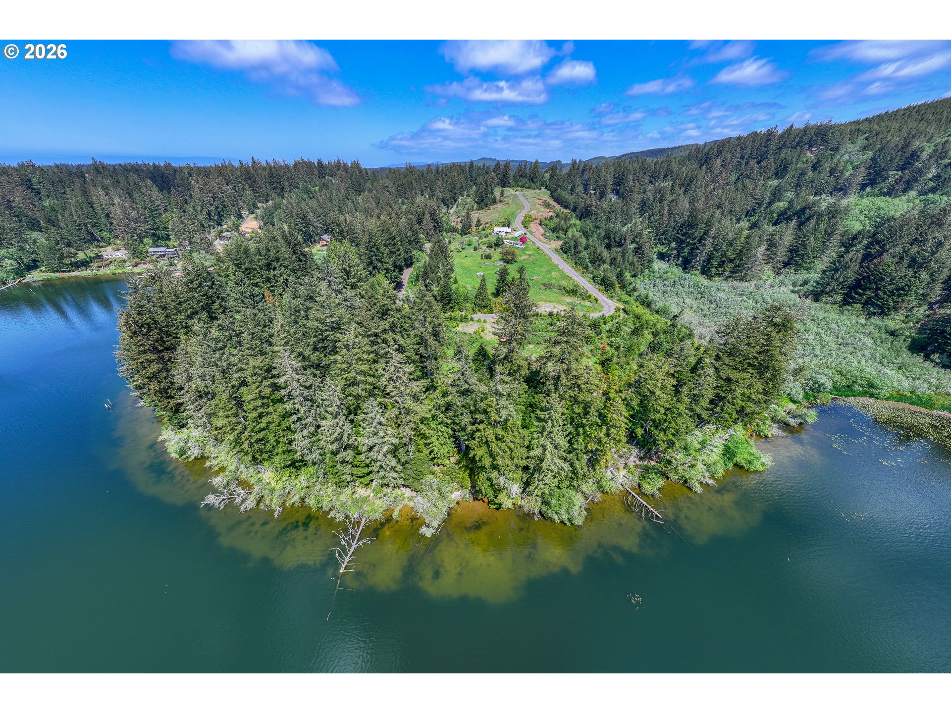 Clear Lake Road, Unit 7 Florence, OR 97439 - Photo 10 of 12 a view of a lush green forest with lots of trees