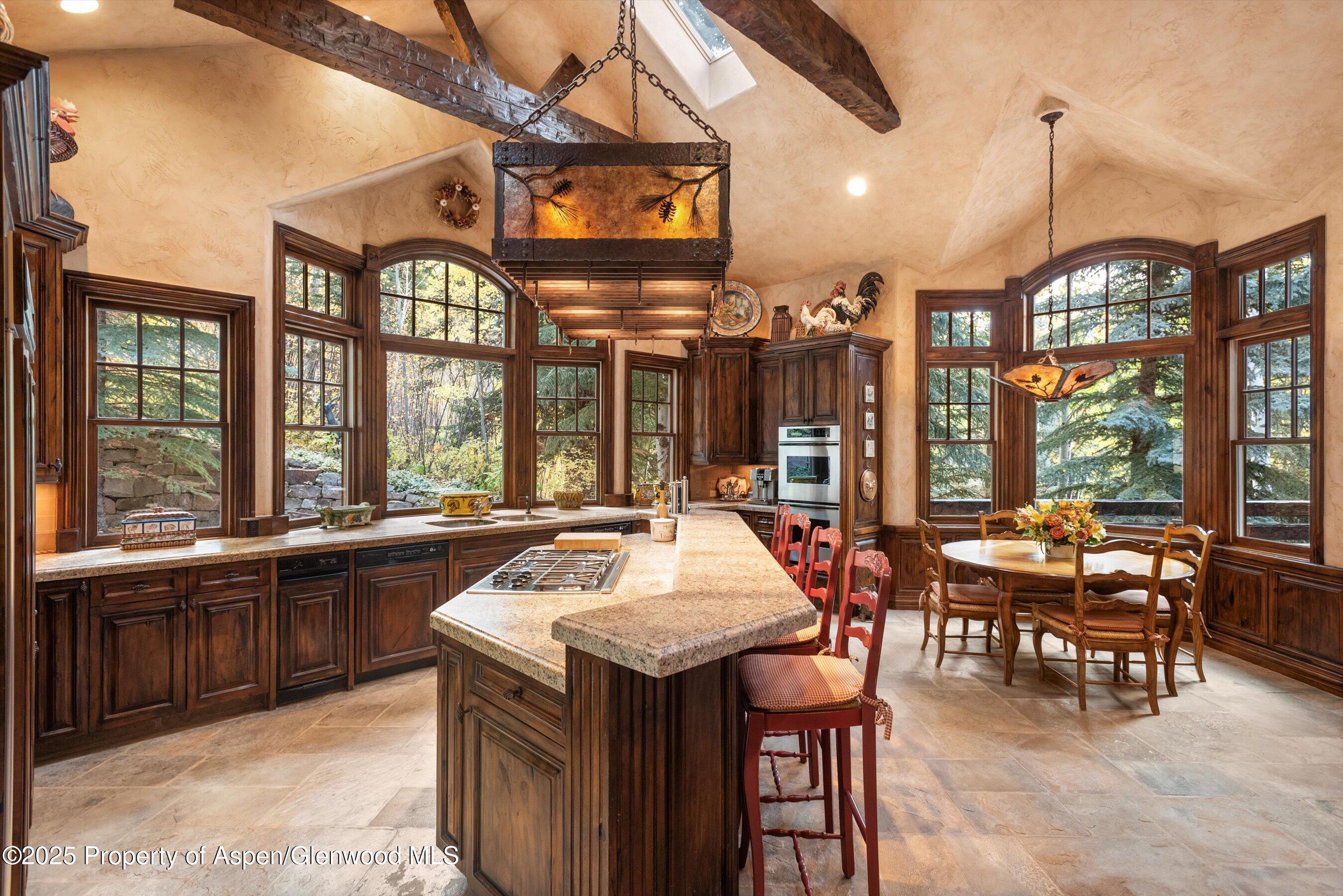 81 Spruce Ridge Lane Snowmass Village, CO 81615 - Photo 16 of 49 Kitchen Closeup