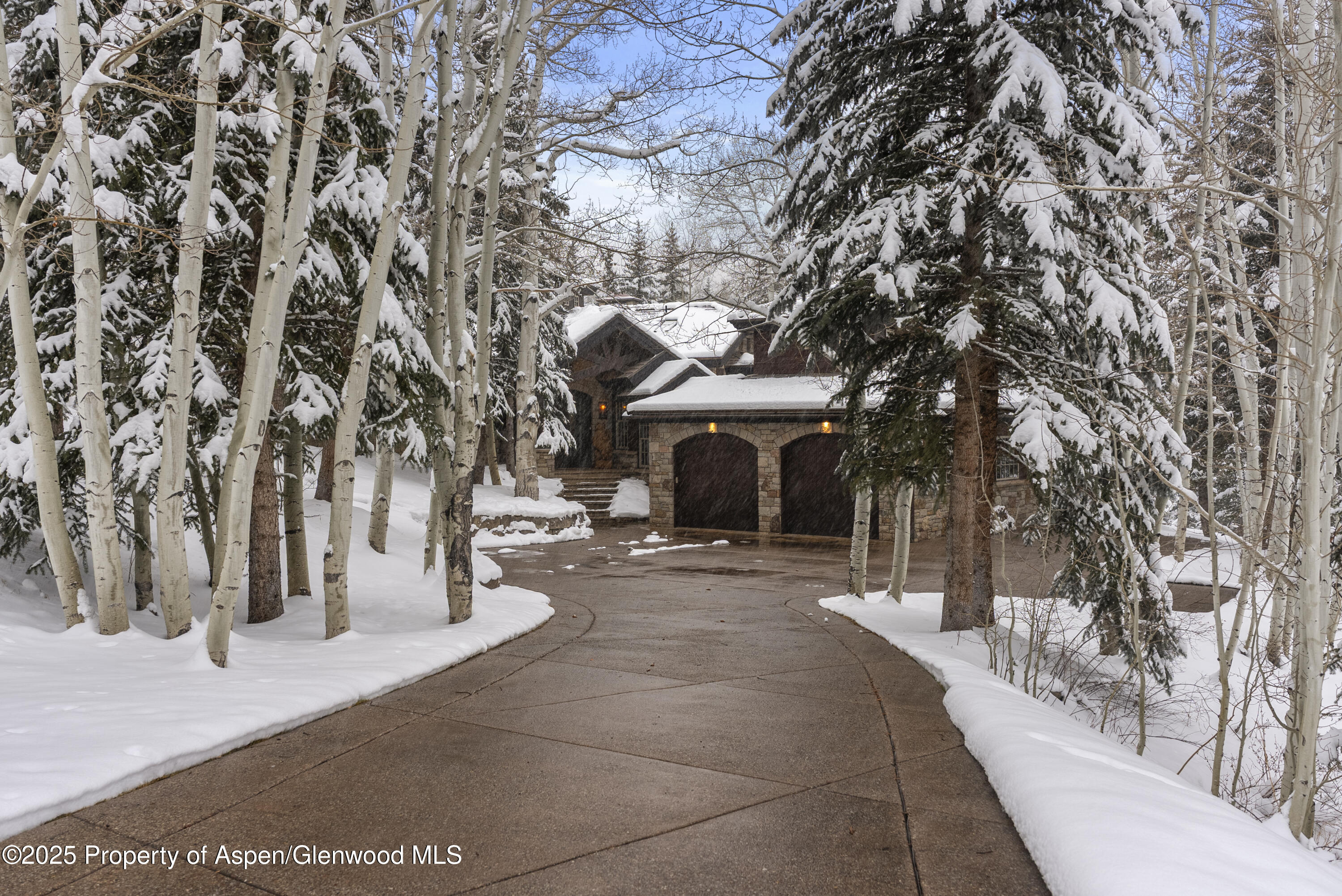 81 Spruce Ridge Lane Snowmass Village, CO 81615 - Photo 44 of 49 81 Spruce Ridge