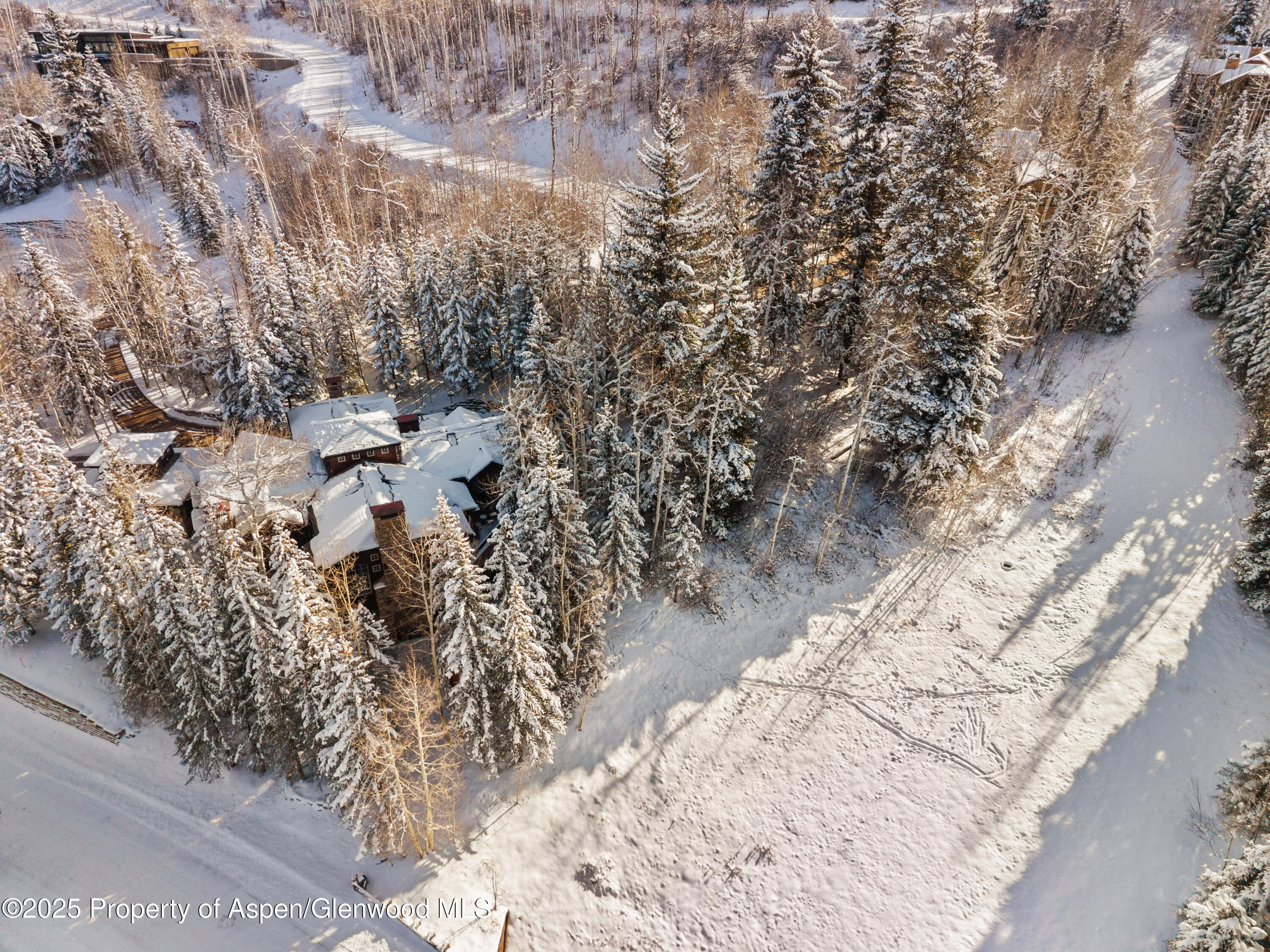 81 Spruce Ridge Lane Snowmass Village, CO 81615 - Photo 47 of 49 Ski Access 2