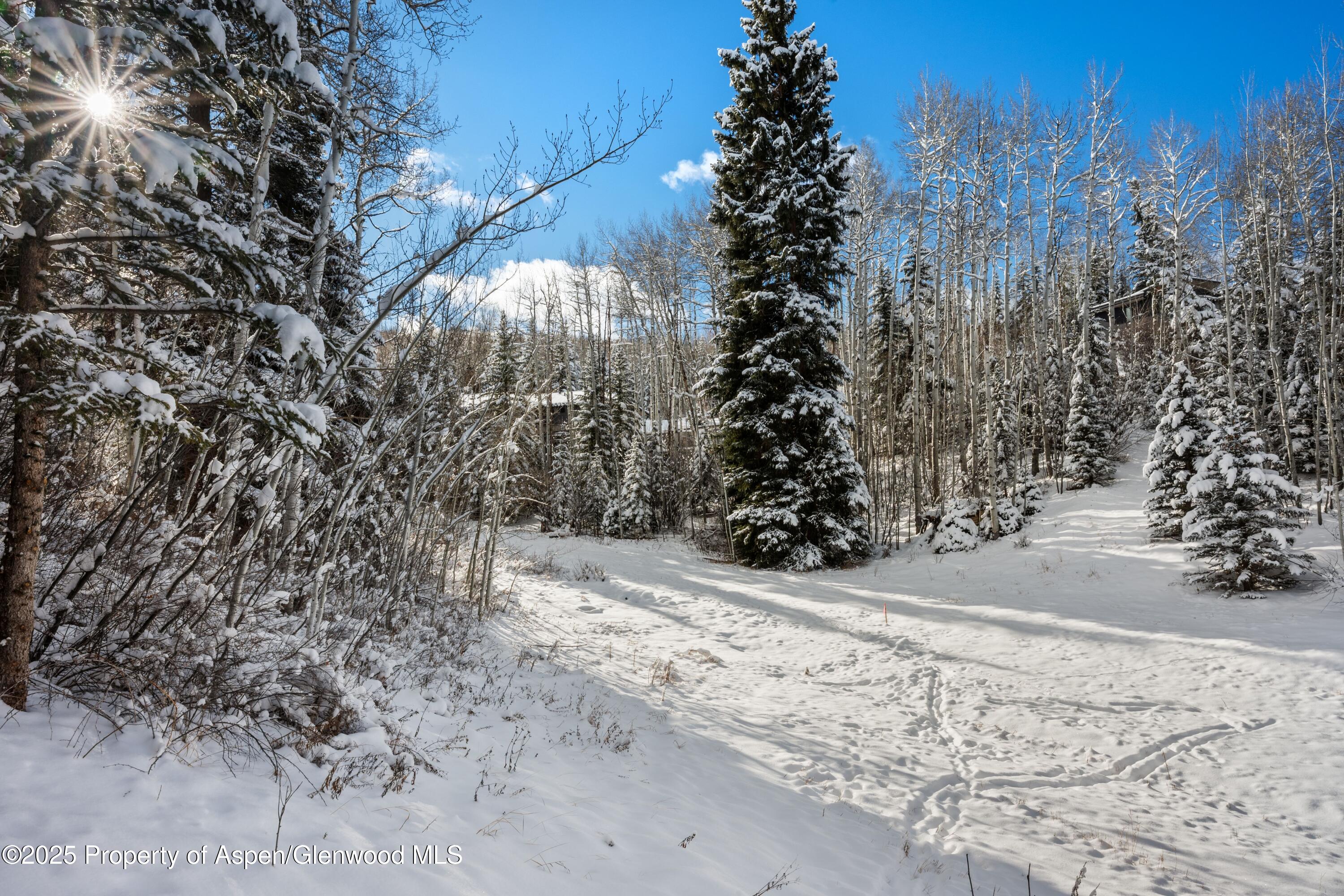 81 Spruce Ridge Lane Snowmass Village, CO 81615 - Photo 48 of 49 Ski Access 3