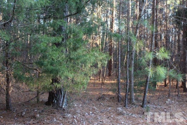 141 Waters Edge Road Henderson, NC 27537 - Photo 27 of 30 a view of a forest that has large trees