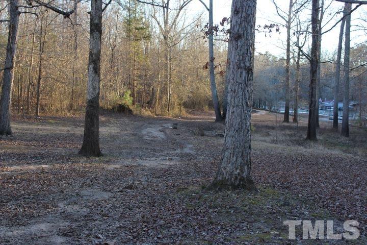 141 Waters Edge Road Henderson, NC 27537 - Photo 28 of 30 a view of a yard with trees