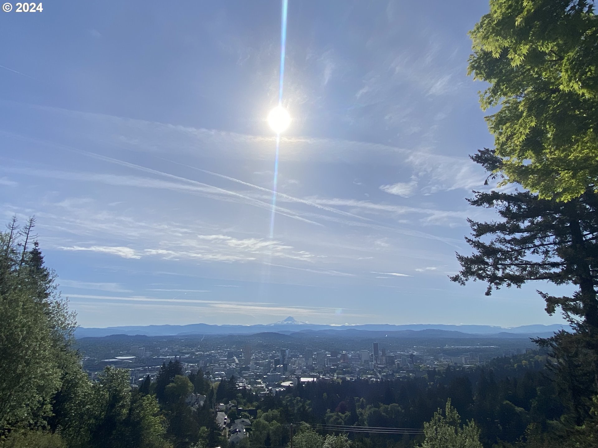 4432 Northwest Barnes Road Portland, OR 97210 - Photo 34 of 36 a view of city and mountain in a field