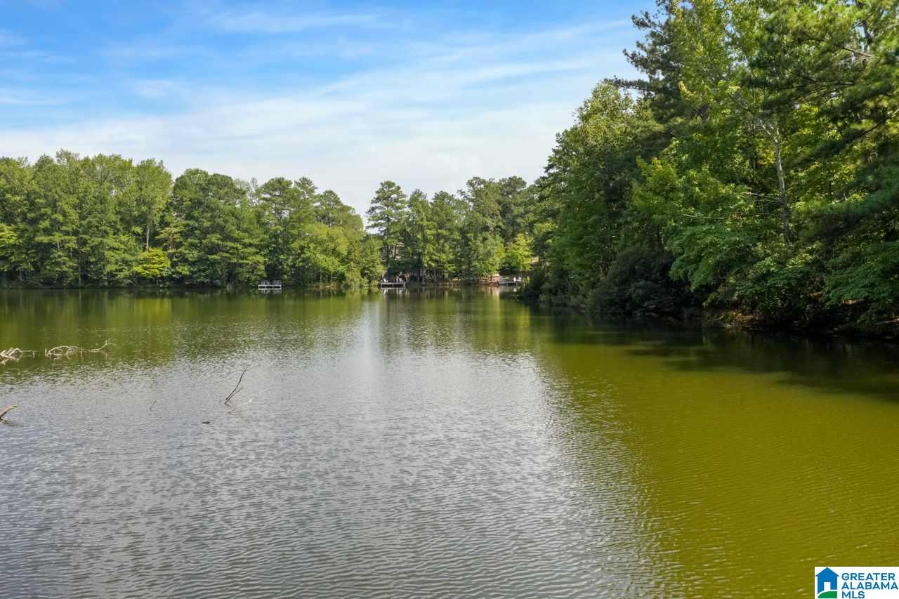 156 Twin Lakes Road Trussville, AL 35173 - Photo 2 of 42