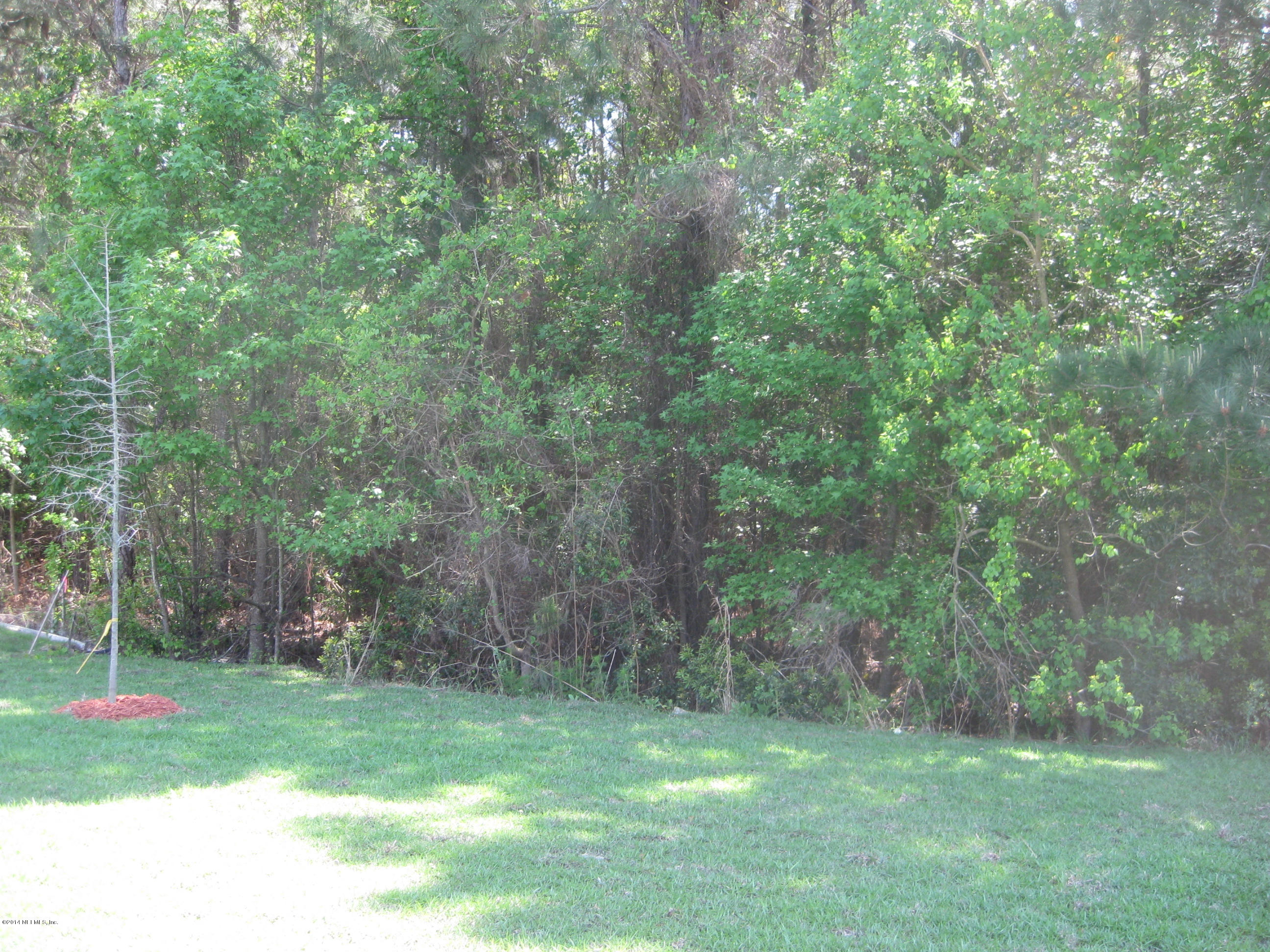 5908 Round Table Road Jacksonville, FL 32254 - Photo 7 of 23 backyard