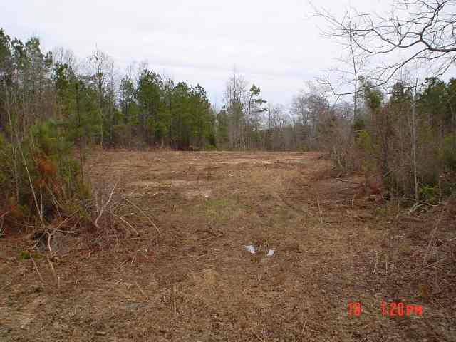 * Deal Road Bradley, SC 29819 - Photo 1 of 1 Main View