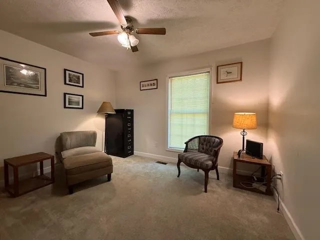 a living room with furniture and a lamp
