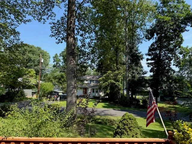 a view of yard with green space