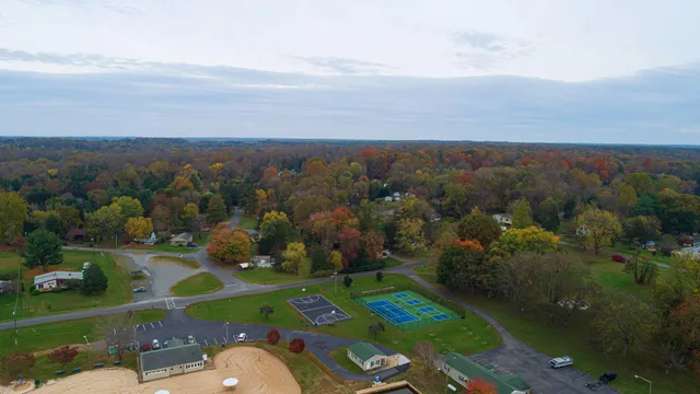 an aerial view of green landscape with trees