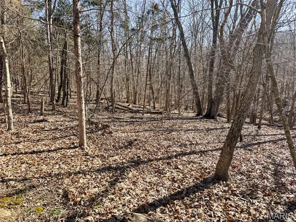 $594,500 | 0 Scanlon Drive, De Soto, MO 63020
