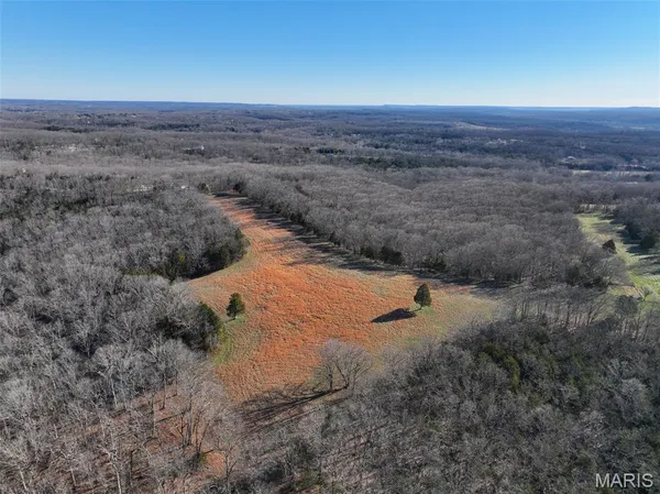 $594,500 | 0 Scanlon Drive, De Soto, MO 63020